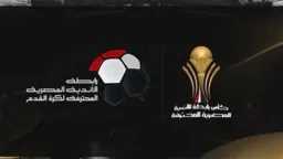 بطولات عربية