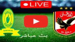 بطولات عربية