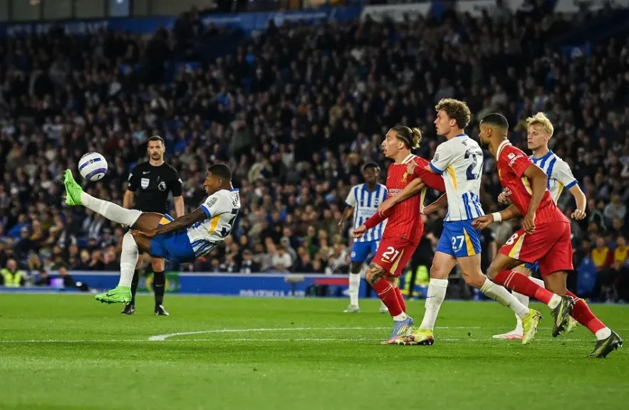 ليفربول وبرايتون