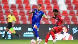 بطولات عربية