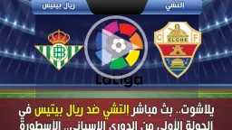 بث مباشر
