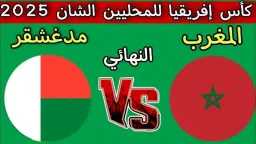بث مباشر
