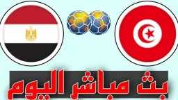بطولات عربية
