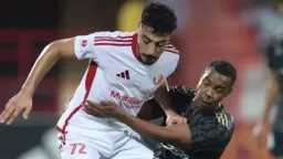 بطولات عربية