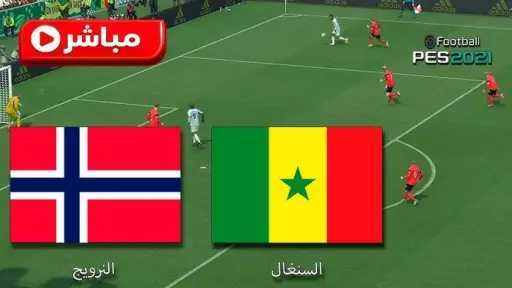 بث مباشر